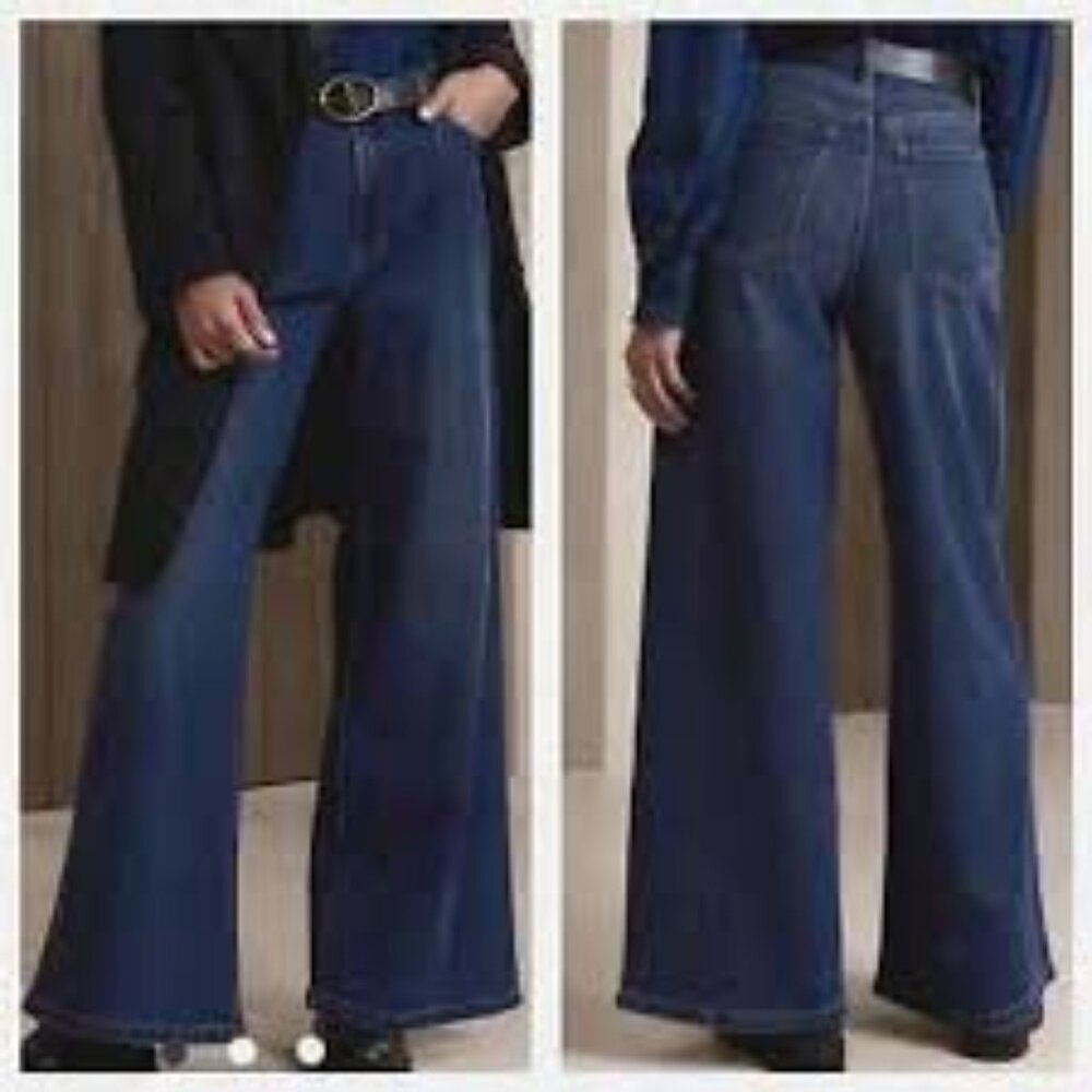 Banana Republic Womens Pleated Wide Leg Dark Rinse High Rise Jeans 24P